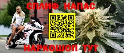 прущие грибы Ижевск