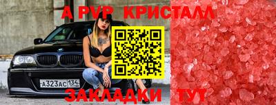 прущие грибы Ижевск