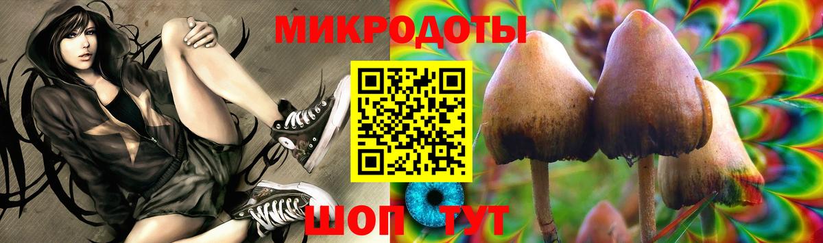 Псилоцибиновые грибы MAGIC MUSHROOMS  Галлюциногенные грибы мицелий  Вход с VPN  Россия 